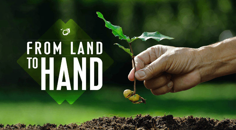 TBK GREEN FOOD JSC cover image