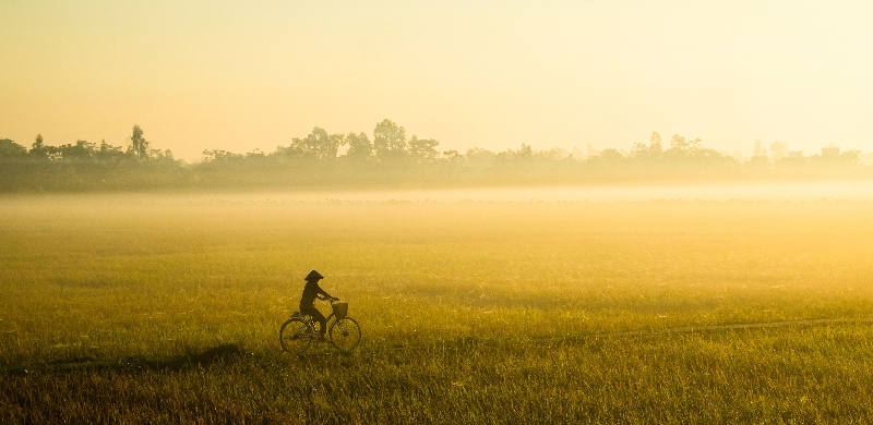 FarmtoFuel cover image