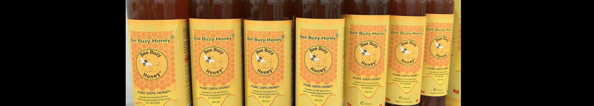 BEE BUZY HONEY CO. LTD cover image