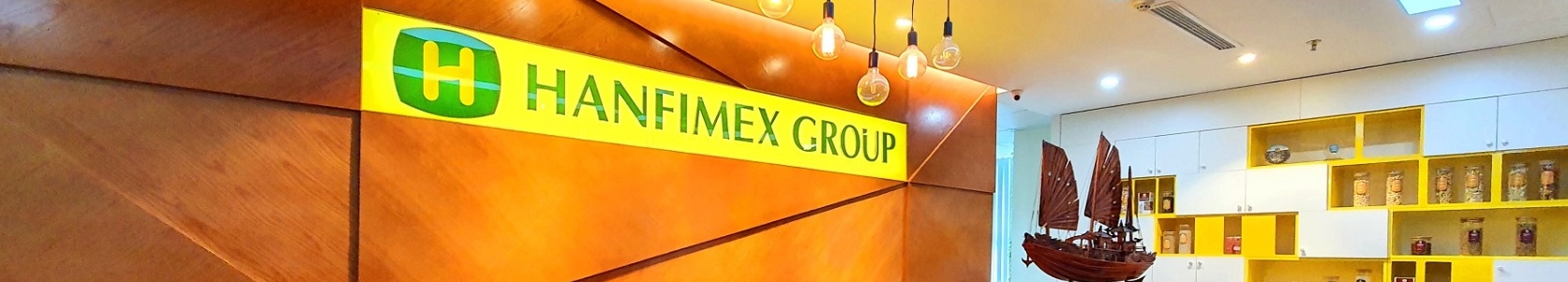 VIETNAM HANFIMEX GROUP cover image