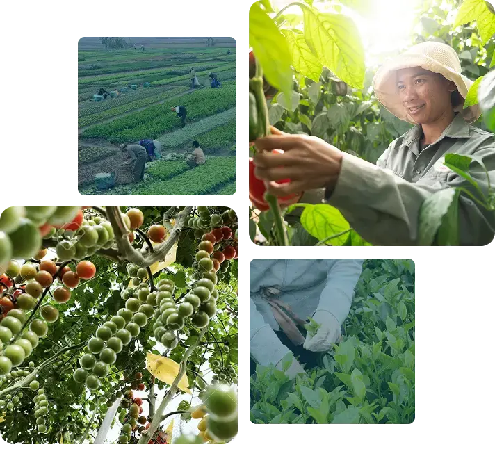 Agriculture Hero Image