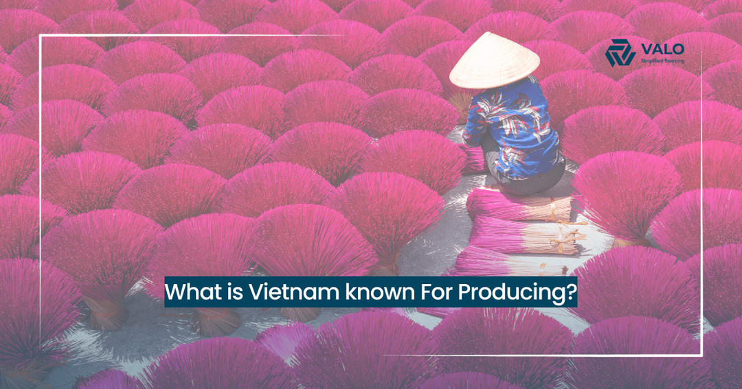 What is Vietnam known For Producing?