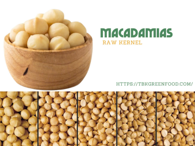 Premium kernel macadamia nut Style 0-8