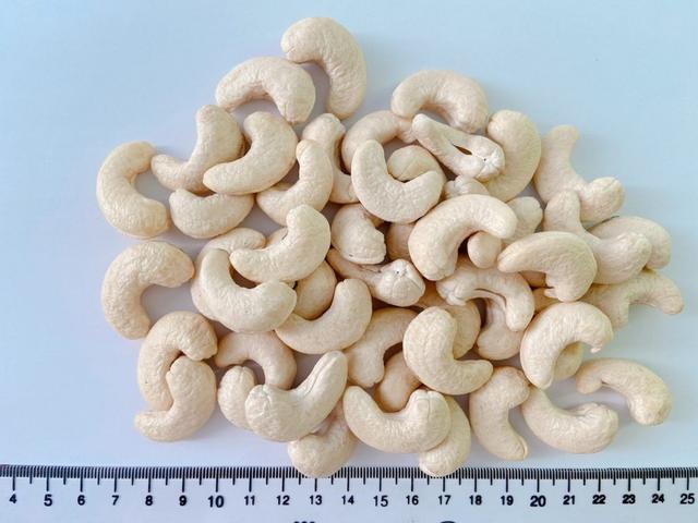 Vietnam Cashew Kernels