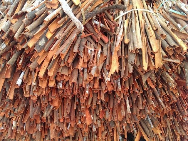 Vietnam Cinnamon/Cassia