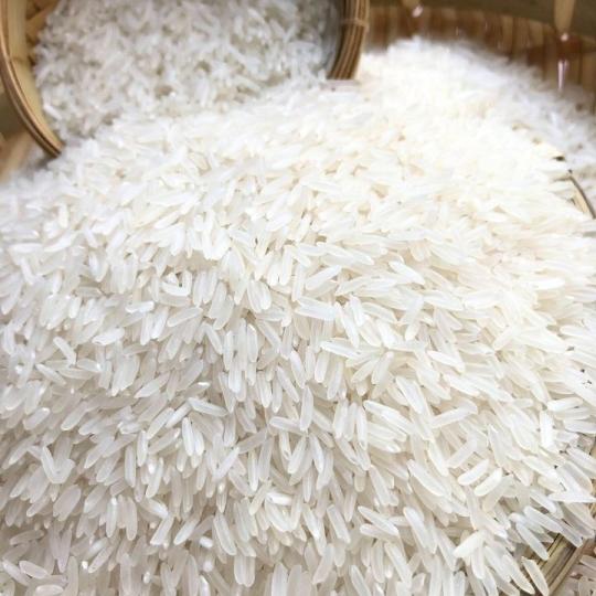 ST21 RICE