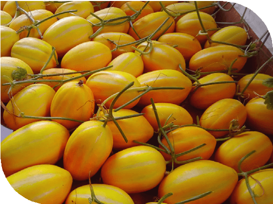 Clean Agricultural
