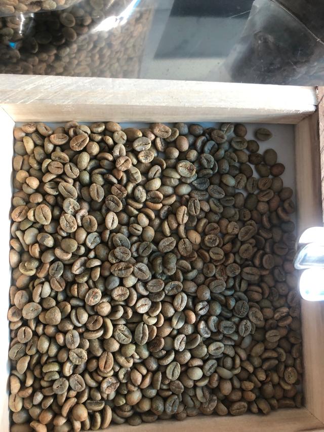 Green bean and roasted coffee