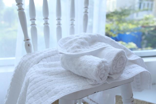 Luxury bath towels for hotel 100% cotton material Vietnam factory top quality eco friendly