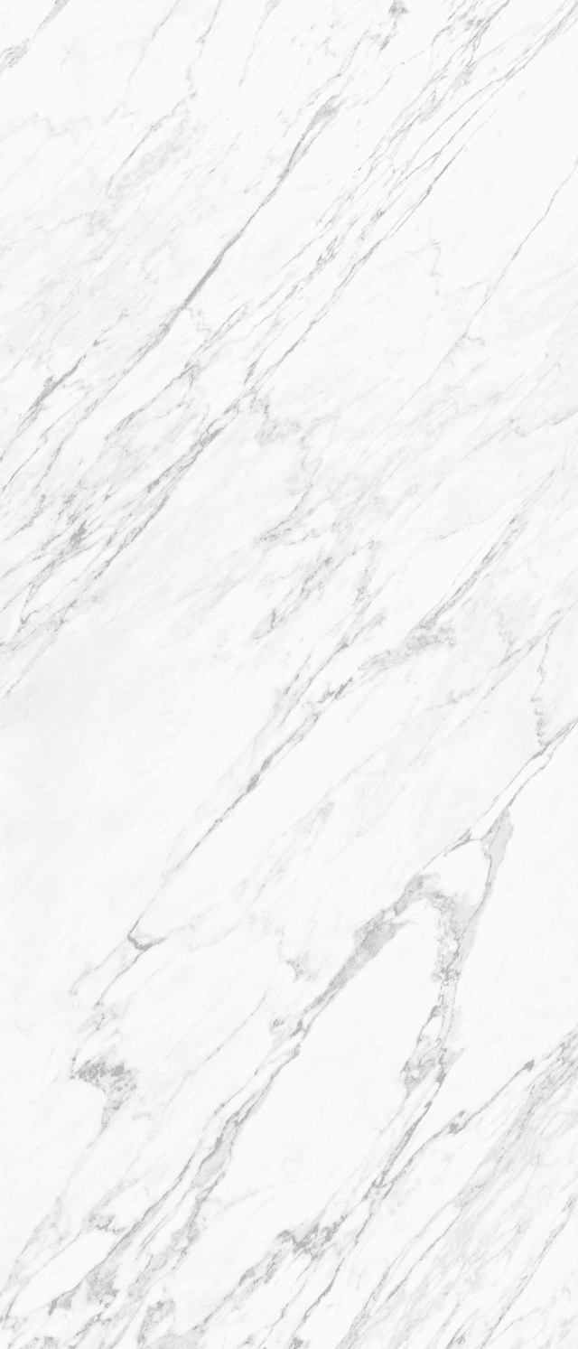 Sintered Stone — Statuary Bianco