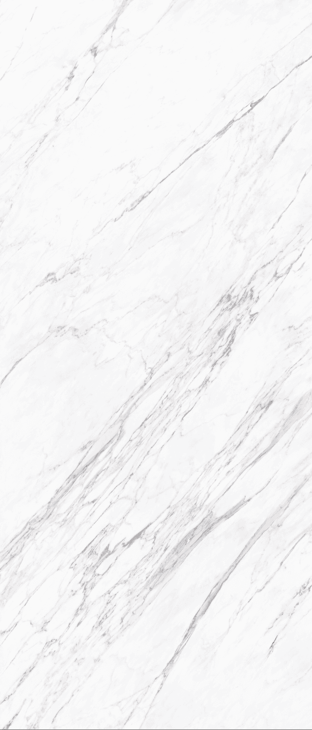 Sintered Stone — Statuary Bianco