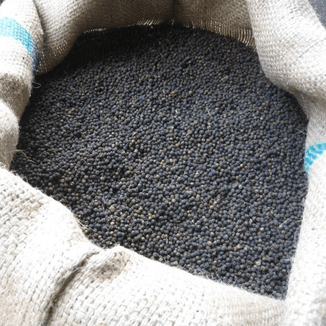 Vietnam Pepper