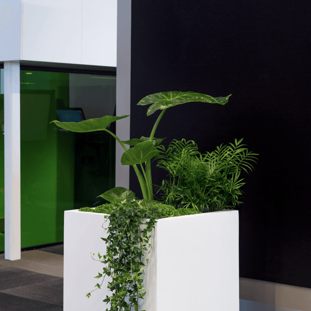 Fiberglass Pot - 1055