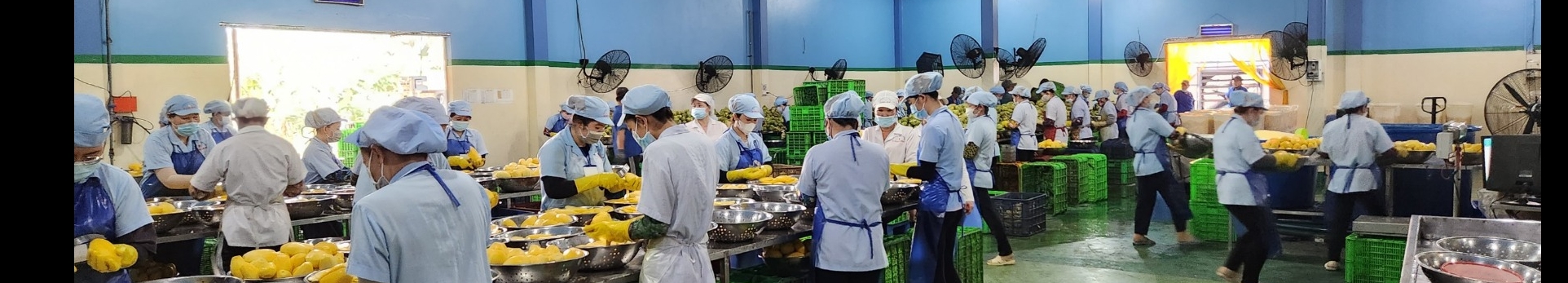 MAS GLOBAL CO., LTD cover image
