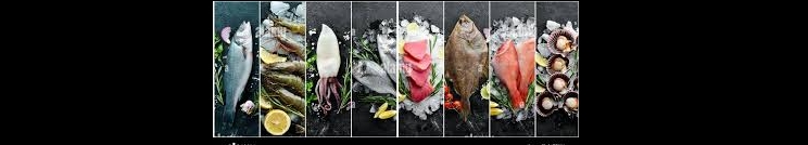 Nguyen Khanh Fish Co., ltd cover image