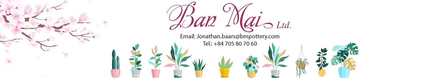 Cong Ty TNHH Ban Mai cover image