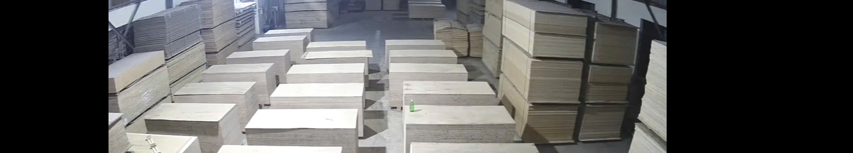 PHUC LAM PLYWOOD (CÔNG TY CP ĐẦU TƯ CÔNG NGHỆ PHÚC LÂM) cover image