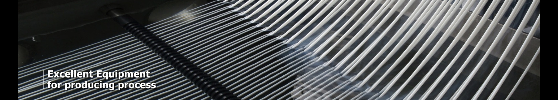 Ginar Ltd. Co cover image