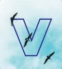VIC International Transport - VIC International Container Transport Company Limited