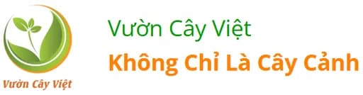 Supplier Logo