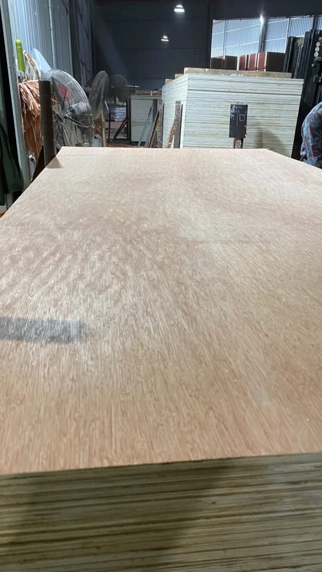 Sunply Bintangor Commercial Plywood