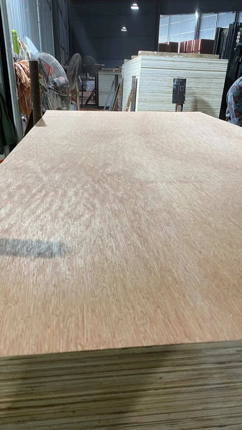 Sunply Bintangor Commercial Plywood