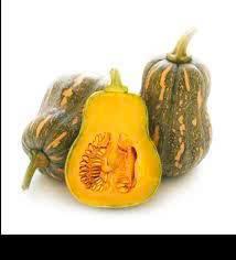 Bí Hồ Lô – Bottle Gourd – ひょうたん(瓢箪)