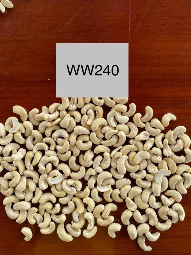 Cashew Kernels WW240